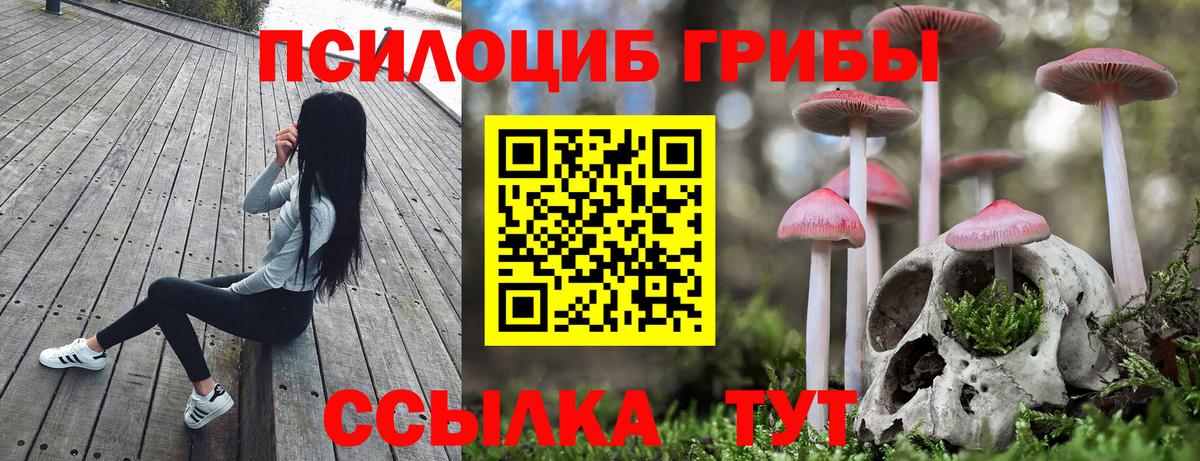 Галлюциногенные грибы GOLDEN TEACHER Красный Сулин